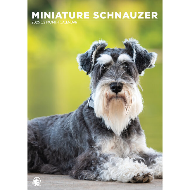 Miniatuur Schnauzer A3 Kalender 2025