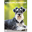 CalendarsRUs Miniatuur Schnauzer A3 Kalender 2025