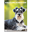 CalendarsRUs Schnauzer miniatura Calendario A3 2025