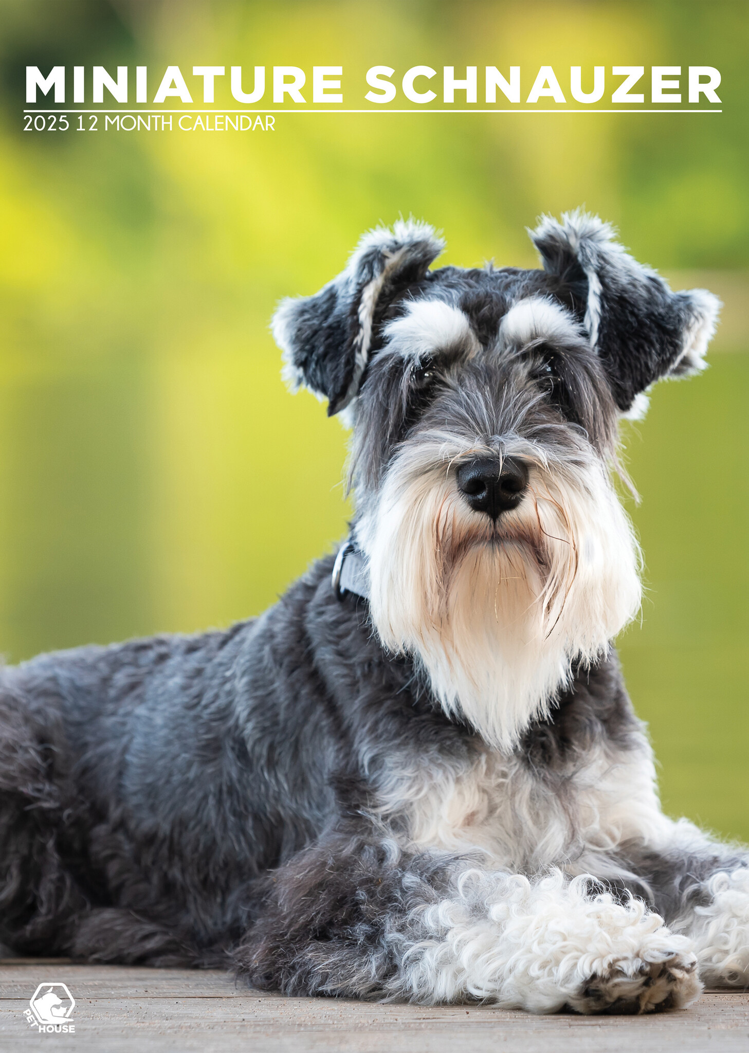 Miniature Schnauzer A3 Calendar 2025 Buy? Order easily and quickly