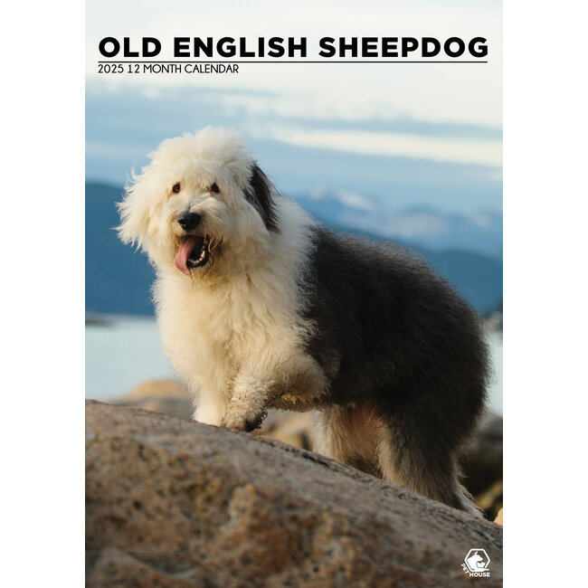 Bobtail / Old English Sheepdog A3 Calendar 2025