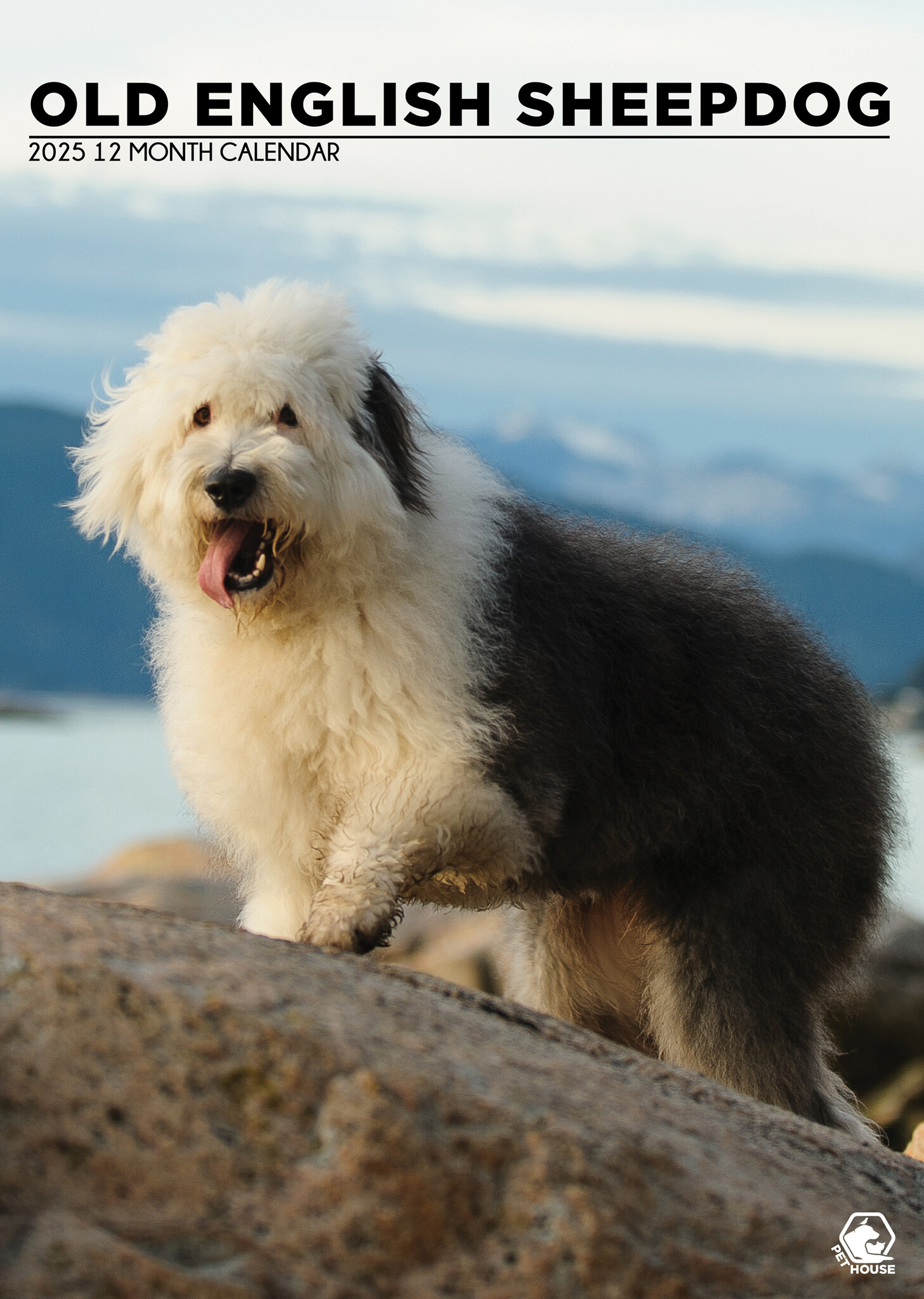 Buy Bobtail / Old English Sheepdog A3 Calendar 2025? Order online