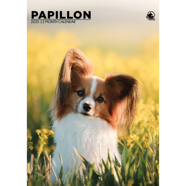 Papillon A3 Calendar 2025