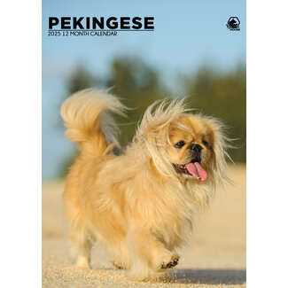 CalendarsRUs Pekinese A3 Kalender 2025