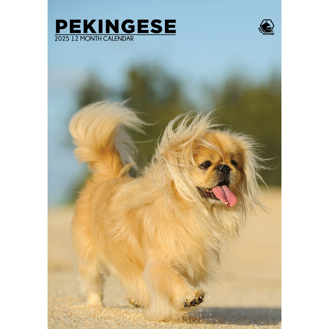 Pekingese A3 Calendar 2025 Buy? Order online quickly and easily