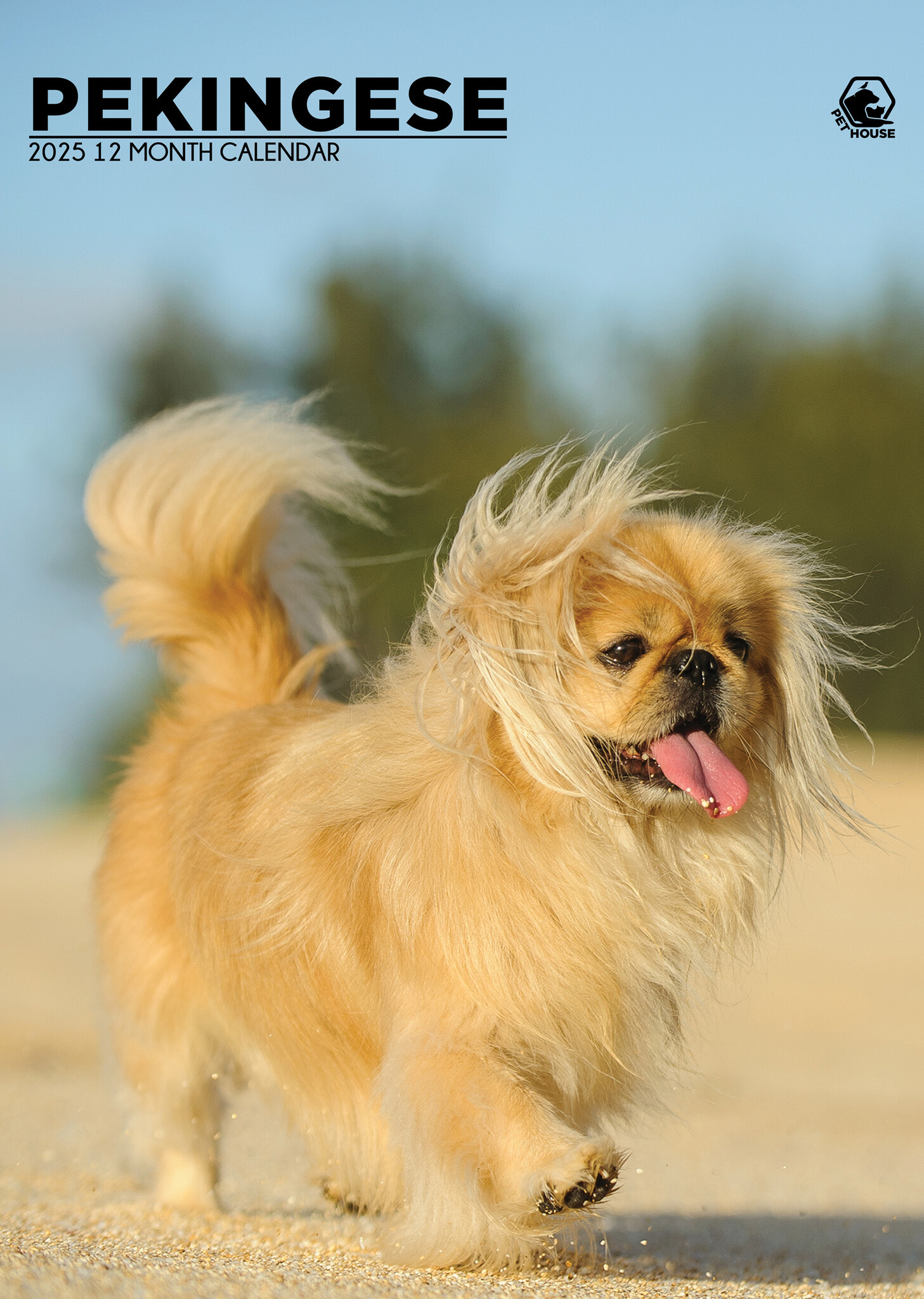 Pekingese A3 Calendar 2025 Buy? Order online quickly and easily