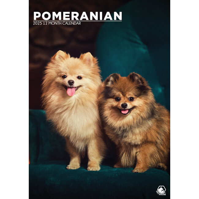 Pomeranian A3 Kalender 2025