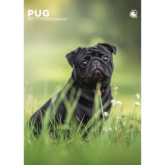 CalendarsRUs Pug Calendario A3 2025