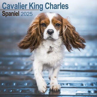 Avonside Calendario Cavalier King Charles Spaniel 2025