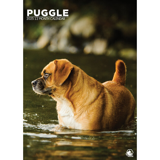 Puggle A3 Calendar 2025