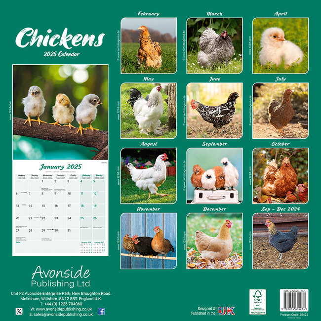 Buying Chickens Calendar 2025? Order online quickly and easily
