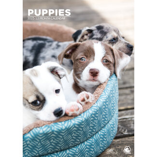 CalendarsRUs Puppies A3 Calendar 2025
