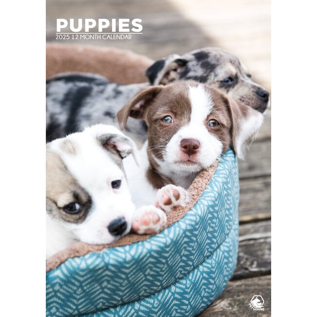 Puppies A3 Calendar 2025