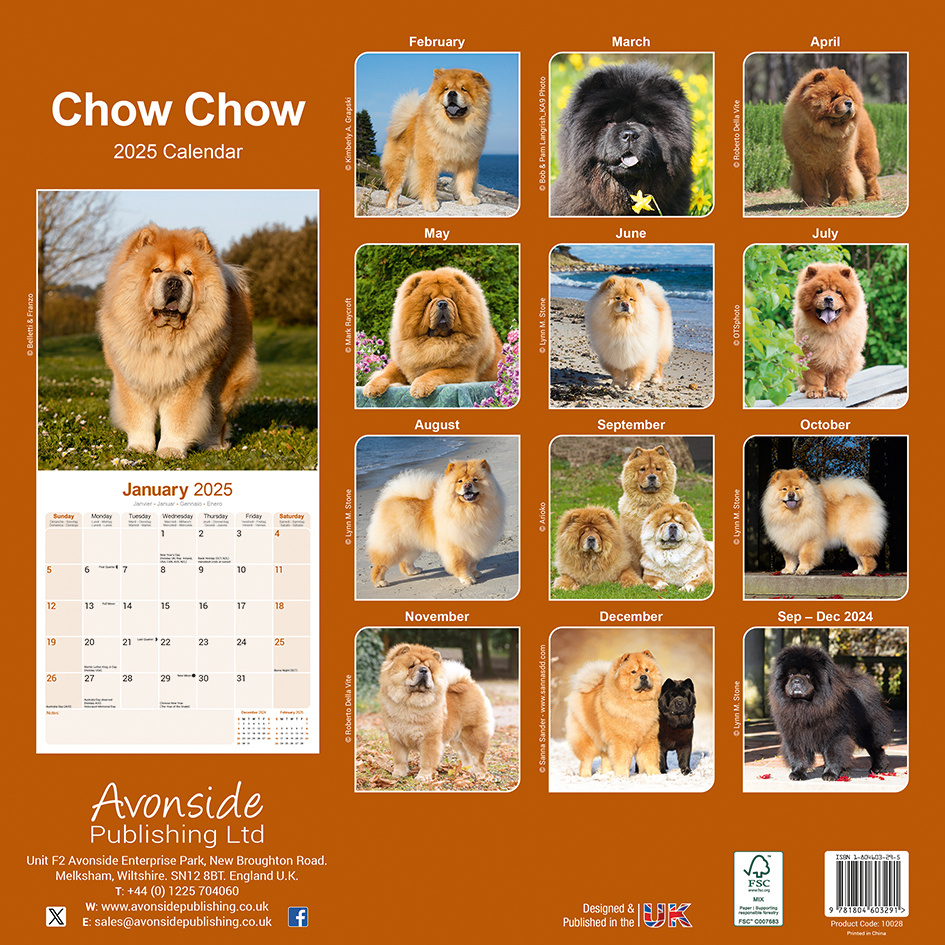 Buying Chow Chow Calendar 2025 photos of the Chow Chow