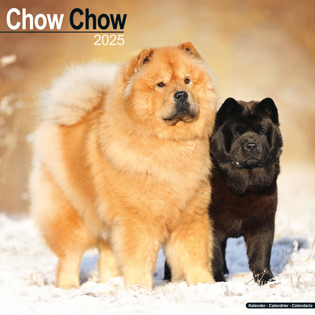 Avonside Chow Chow Kalender 2025