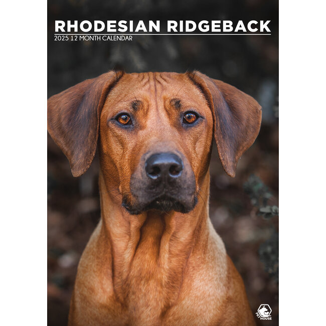 Rhodesian Ridgeback A3 Calendar 2025