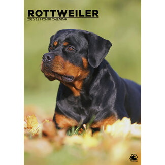 CalendarsRUs Rottweiler A3 Calendar 2025