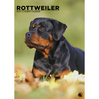CalendarsRUs Rottweiler Calendrier A3 2025