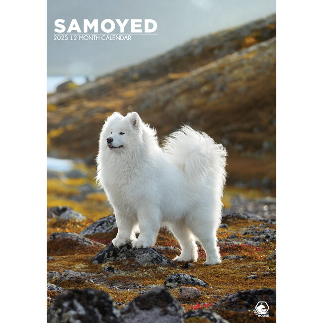 Samoyedo Calendario A3 2025