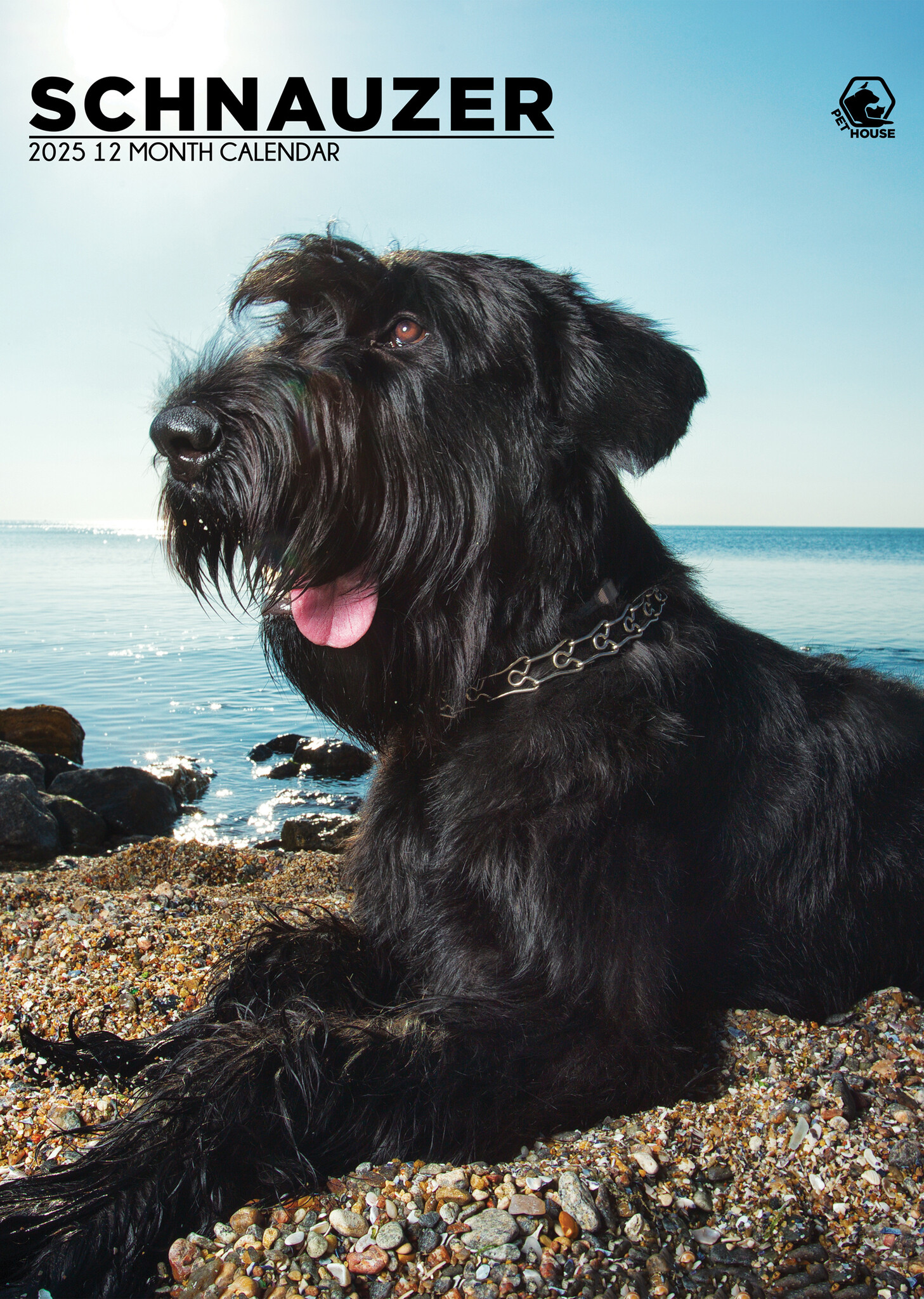 Buy Schnauzer A3 Calendar 2025? Order online quickly and easily