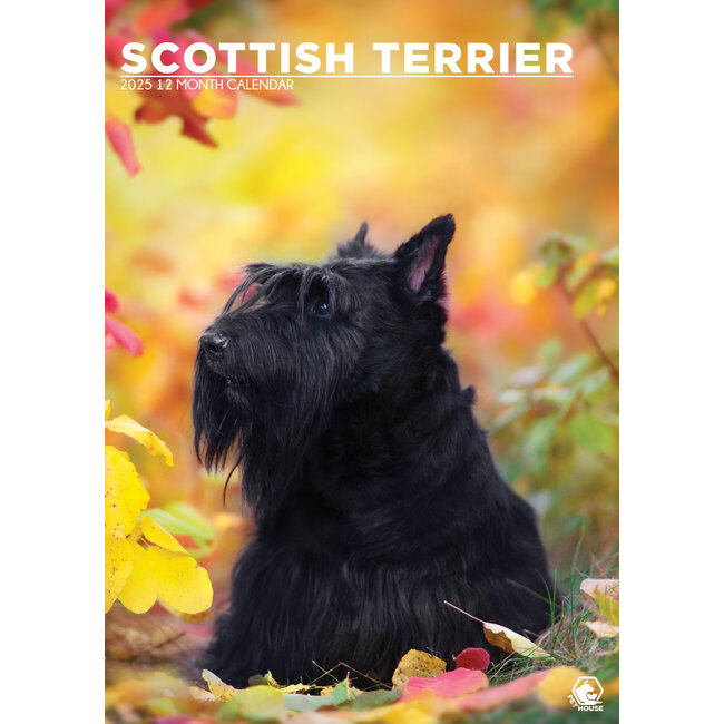 Scottish Terrier A3 Calendar 2025