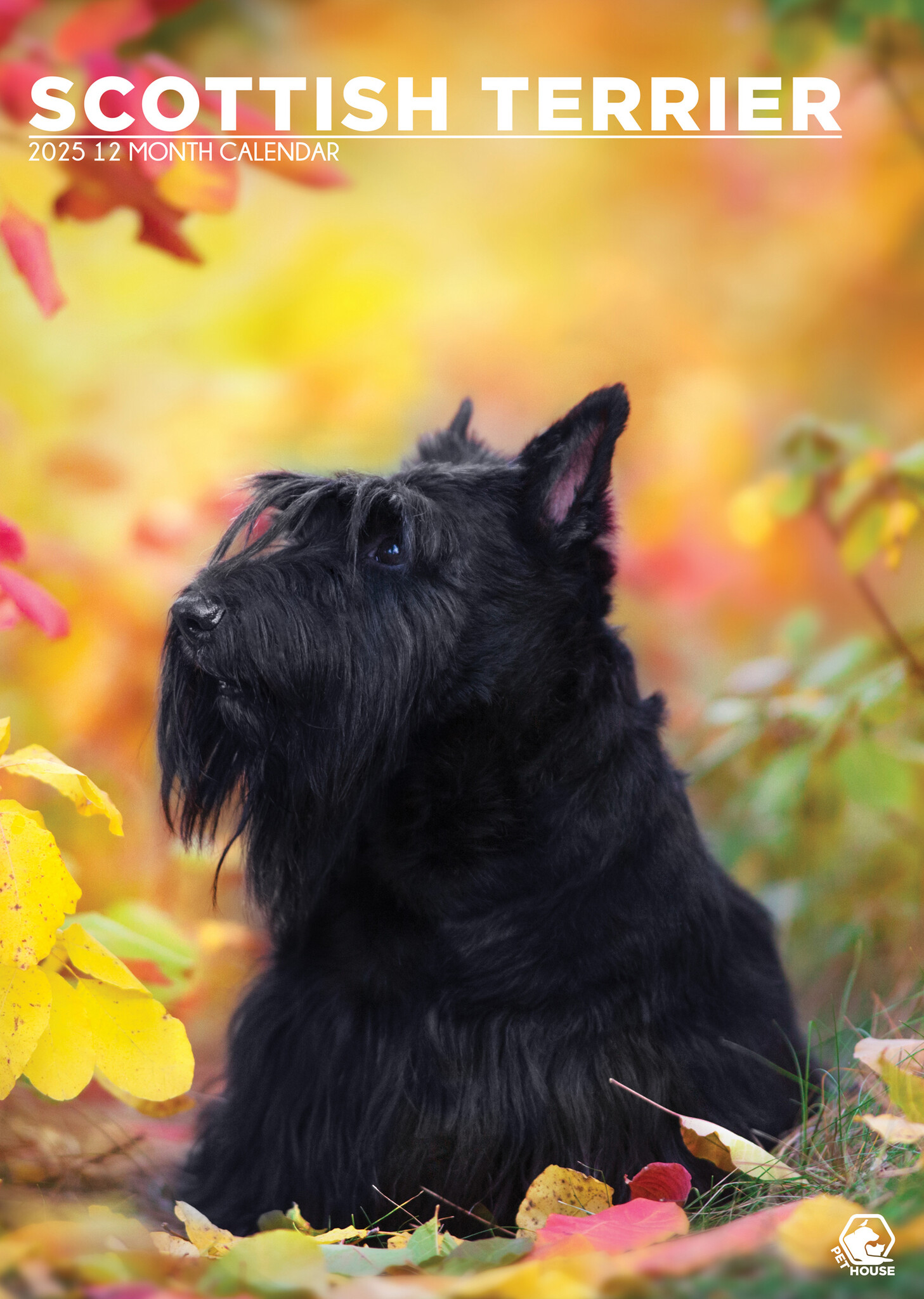 Scottish Terrier Calendario A3 2025 Haga su pedido fácil y