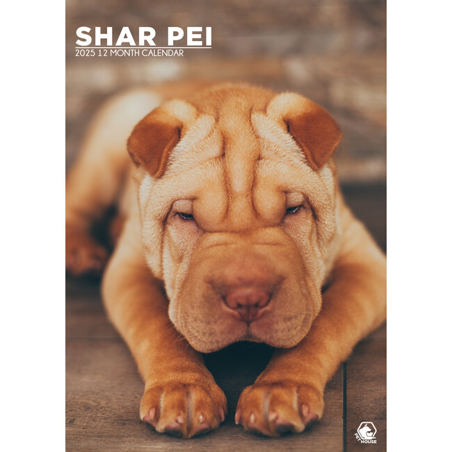 Buy Shar Pei A3 Calendar 2025? Order online quickly and easily