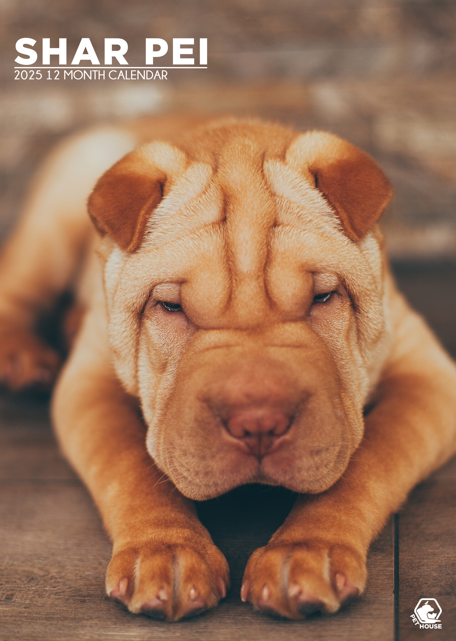 Shar Pei A3 Kalender 2025