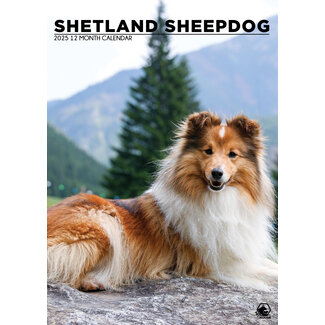 CalendarsRUs Chien de Berger des Shetland Calendrier A3 2025