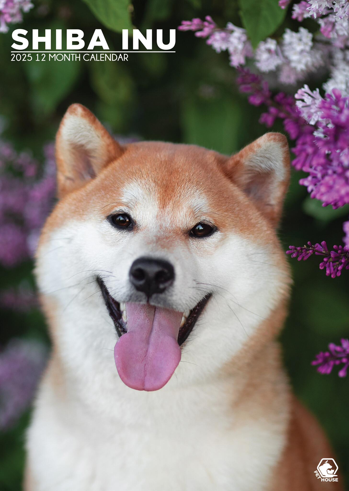 Shiba Inu 2025 Calendar Daveta Adriena