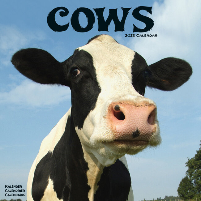 Avonside Calendario de vacas 2025