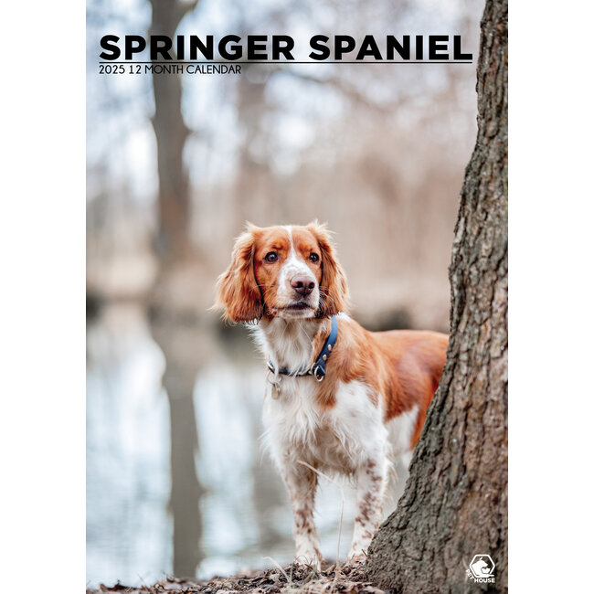 Welsh Springer Spaniel A3 Calendar 2025