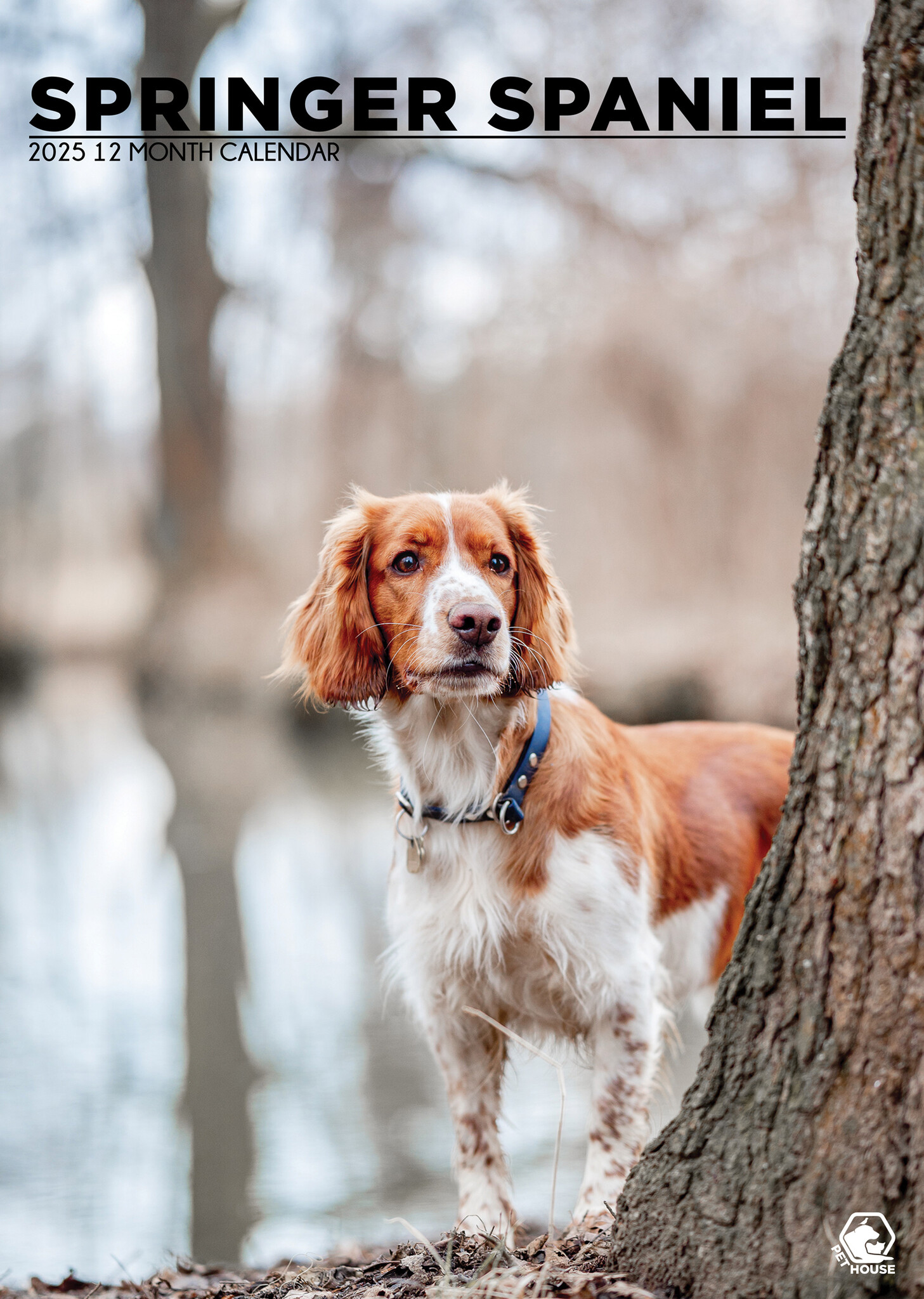 Welsh Springer Spaniel A3 Kalender 2025