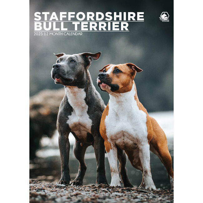 Staffordshire Bull Terrier A3 Kalender 2025