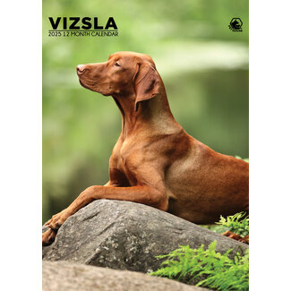 CalendarsRUs Vizsla A3 Kalender 2025