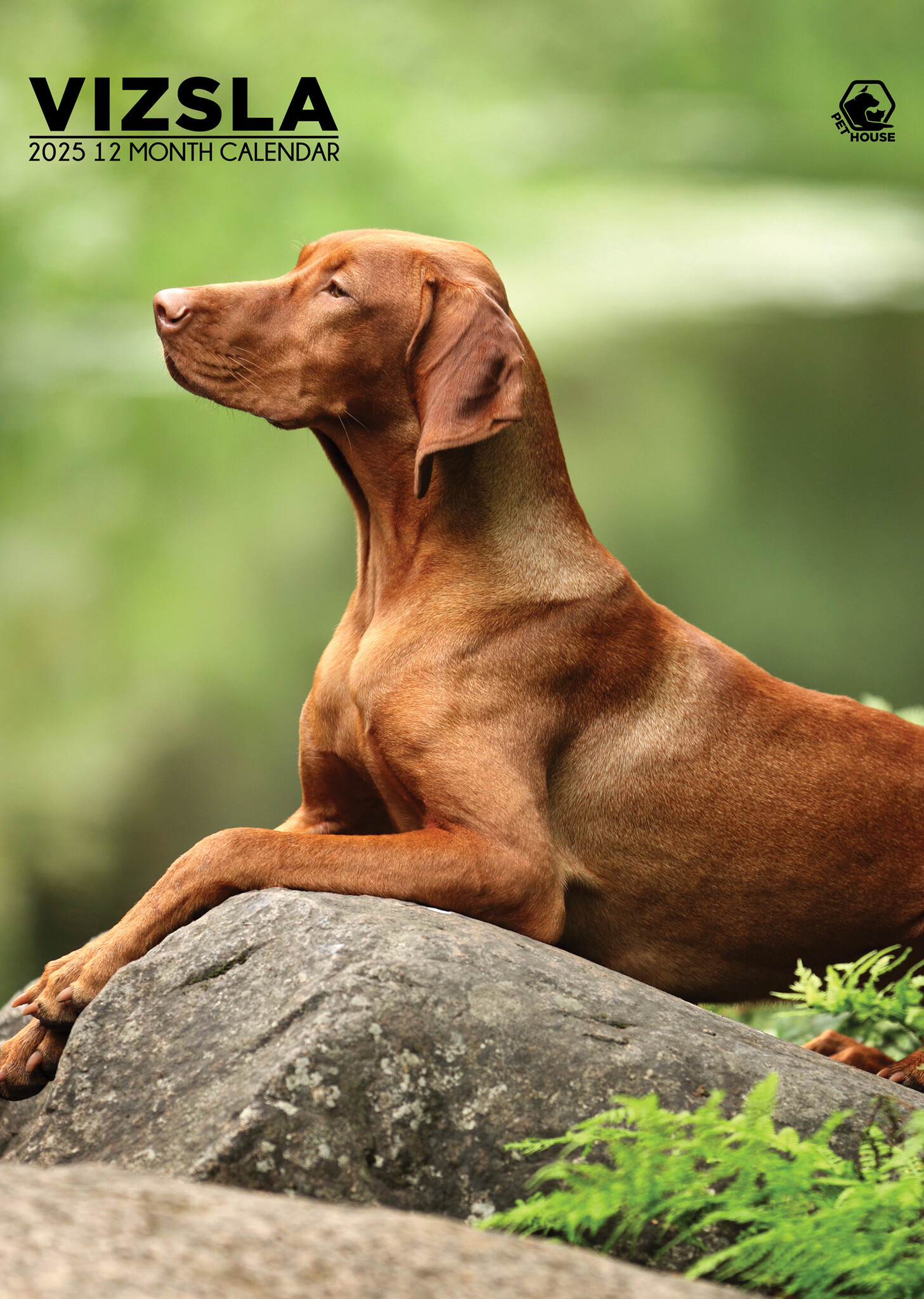 Vizsla A3 Kalender 2025