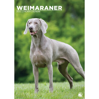 CalendarsRUs Weimaraner A3 Calendrier 2025
