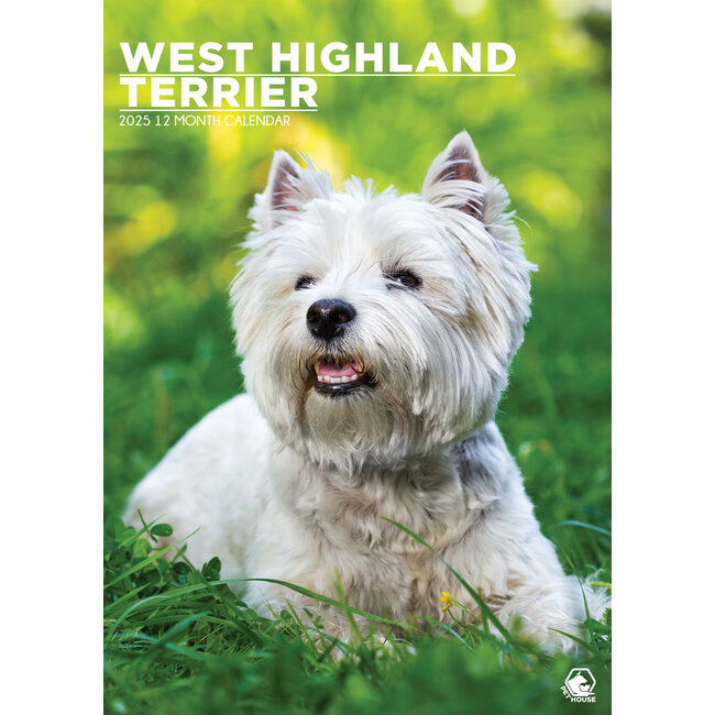 West Highland White Terrier A3 Calendar 2025 Buy? Kalenderwinkel.nl