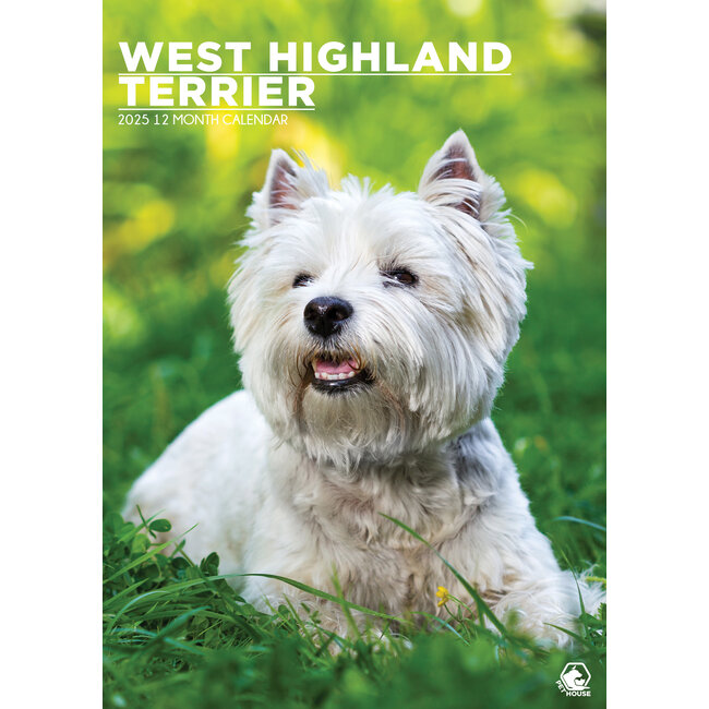 West Highland White Terrier Calendrier A3 2025