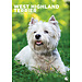 CalendarsRUs West Highland White Terrier A3 Calendar 2025