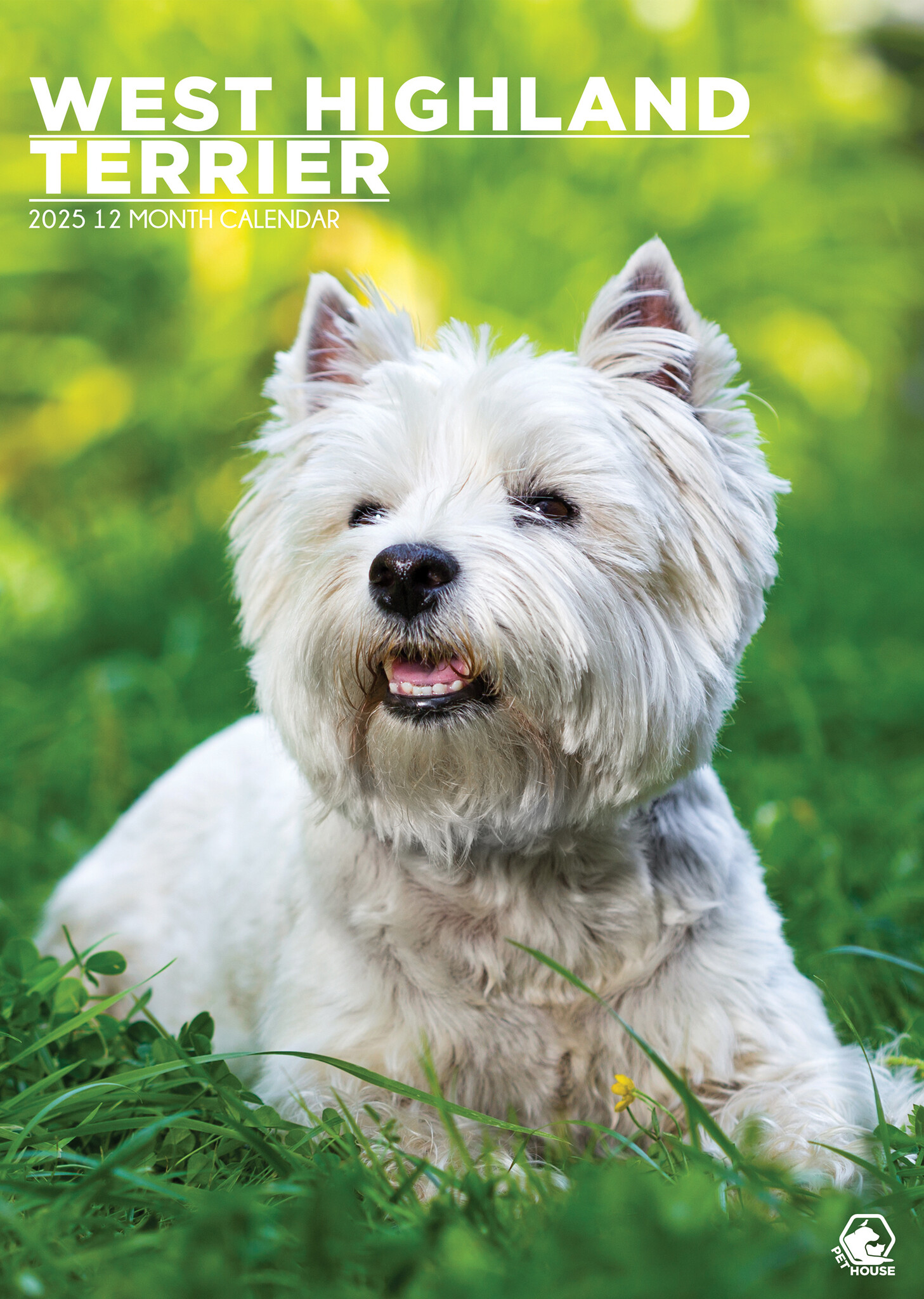 West Highland White Terrier A3 Kalender 2025