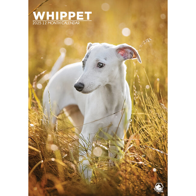 Whippet Calendario A3 2025