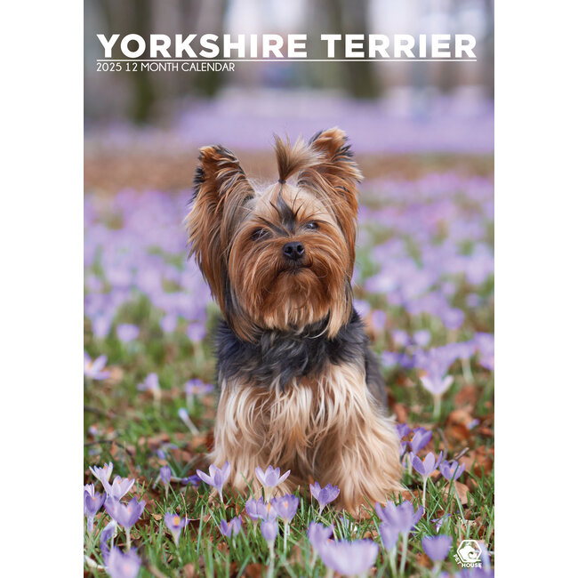 Yorkshire Terrier A3 Calendar 2025