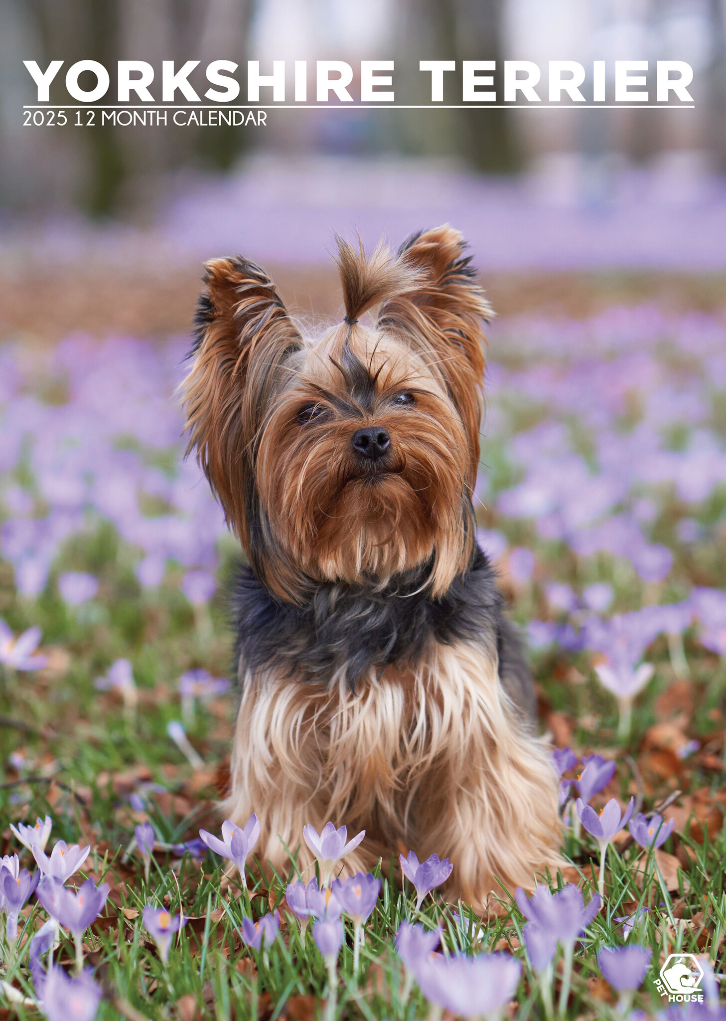 Yorkshire Terrier A3 Kalender 2025