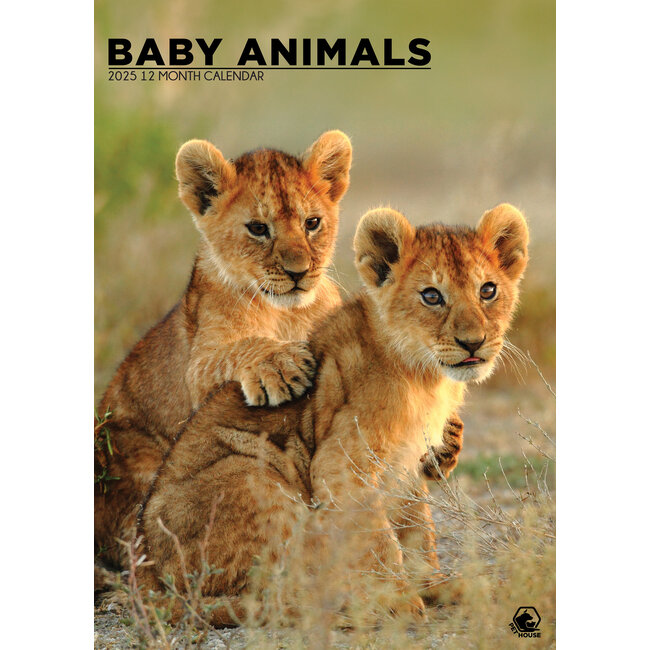 Baby Animals Calendrier A3 2025