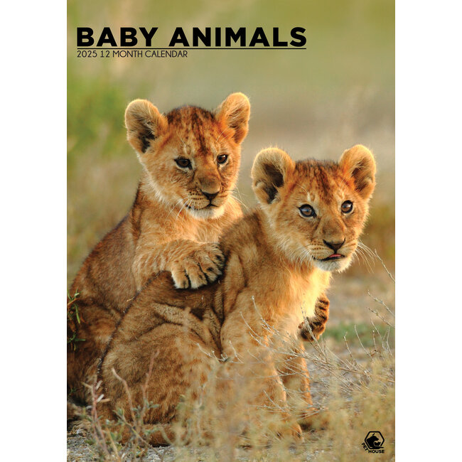 Baby-Tiere A3 Kalender 2025