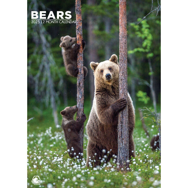 Bears A3 Calendar 2025