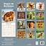 Bordeaux Dog Calendar 2025