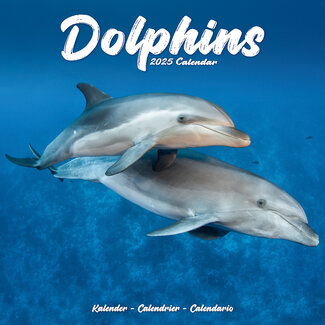 Avonside Dolphin Calendar 2025