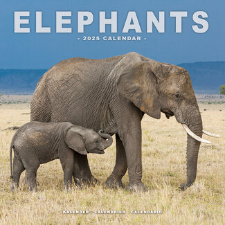 Avonside Calendario degli elefanti 2025